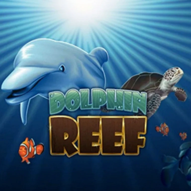 Dolphin Reef slot game on Mega888 featuring dolphin and ocean reef theme